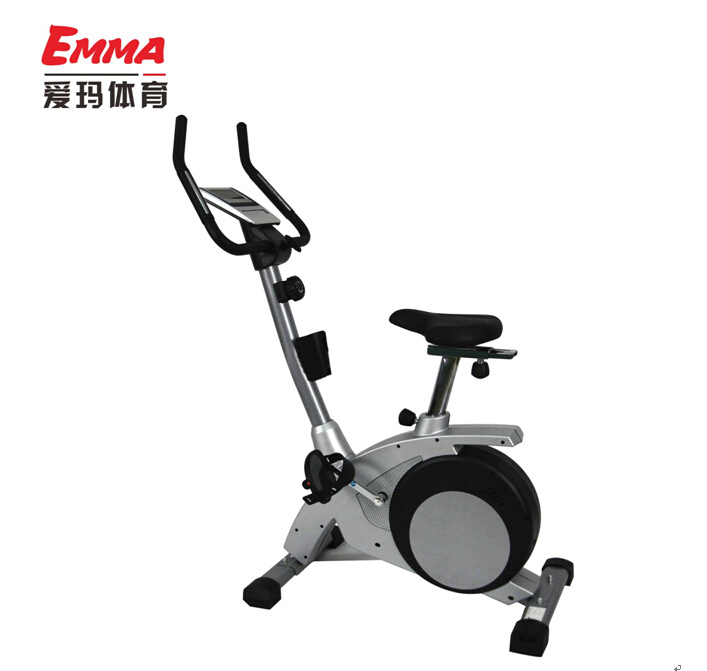 Home Use Fitness Magnetic Bike (M8003)