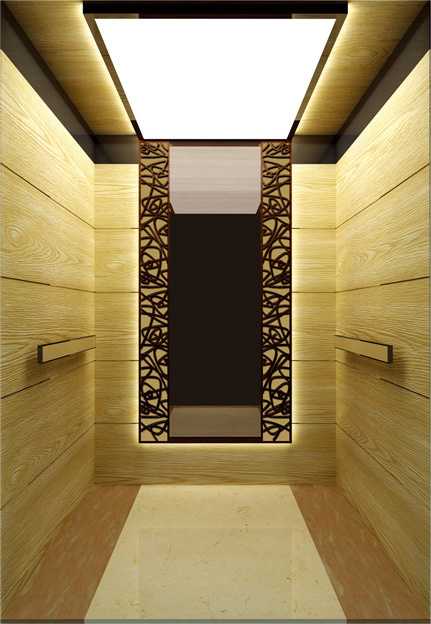 Passenger Elevator