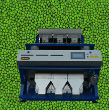 Vision Manufactured Food Processing Machine 192 Channels Green Beans CCD Sorting Machinery From Anhui