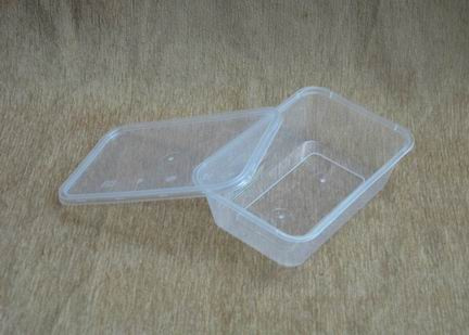 650ml Rectangular Disposable Lunch Box