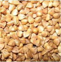 Buckwheat Kernel