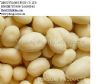 Blanched Peanut Kernels