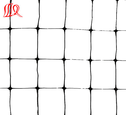 Transparent Extruded Plastic Netting/HDPE Anti Bird Net
