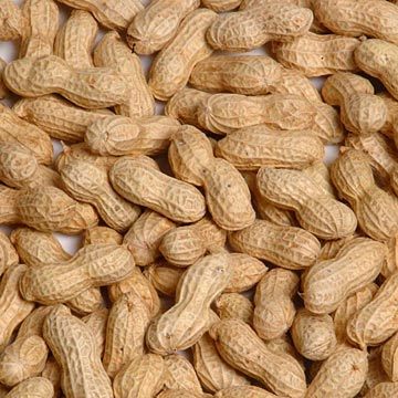 High Quality Roasted Peanut