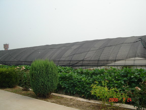 30 Mesh Farm Insect Netting