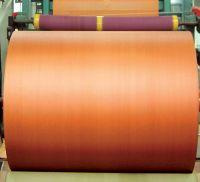 Polyester EE Fabric