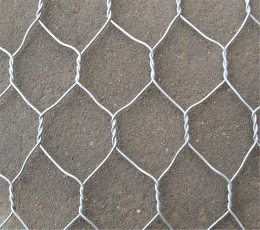 Hexagonal Wire Mesh