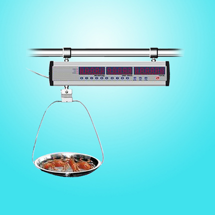 Electronic Pricing Scale ( LC ACS-L6 )
