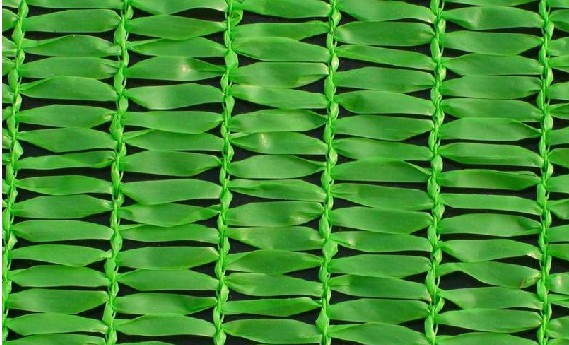 Shade Net (1)