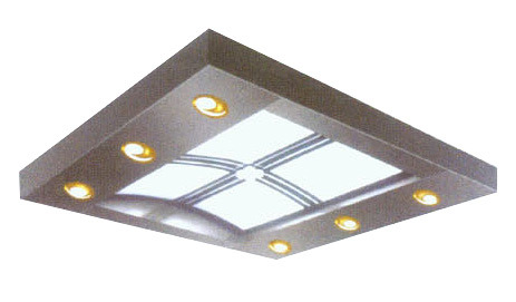 Lighting Ceiling (ALS-LC018)