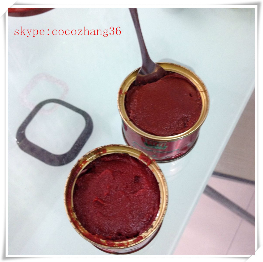 2014 Tomato Paste in Drum for Sale