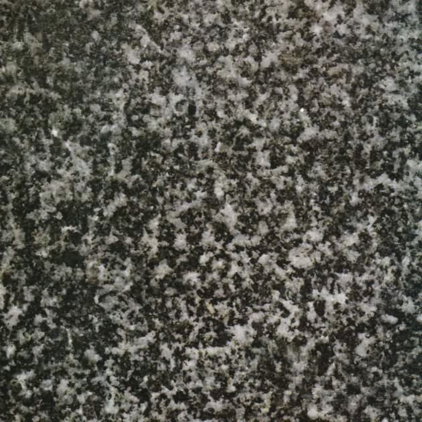 Black Taiwan Granite Tile for Countertop/Wall