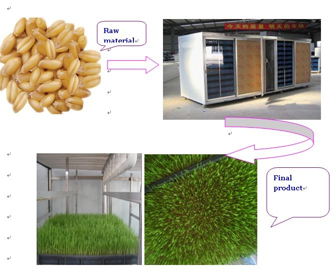 Automatic Barley Sprouting Machine / Alfalfa Growing Machine / Seeds Seedling Machine (JXYJ-100M)