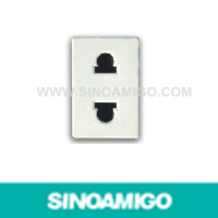 118 Type Two-Pole Dual Purpose Socket (Small)