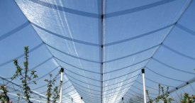 100% New Virgin HDPE Anti Hail Net