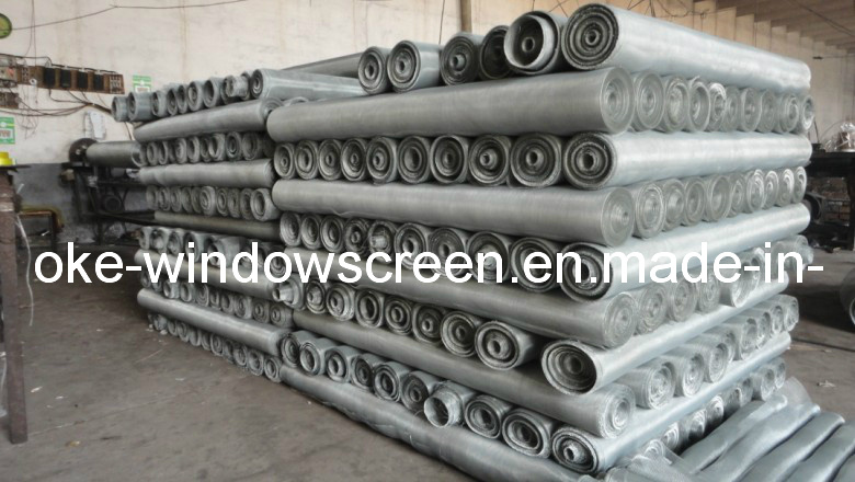 White Color Galvanized Screen Wire Mesh