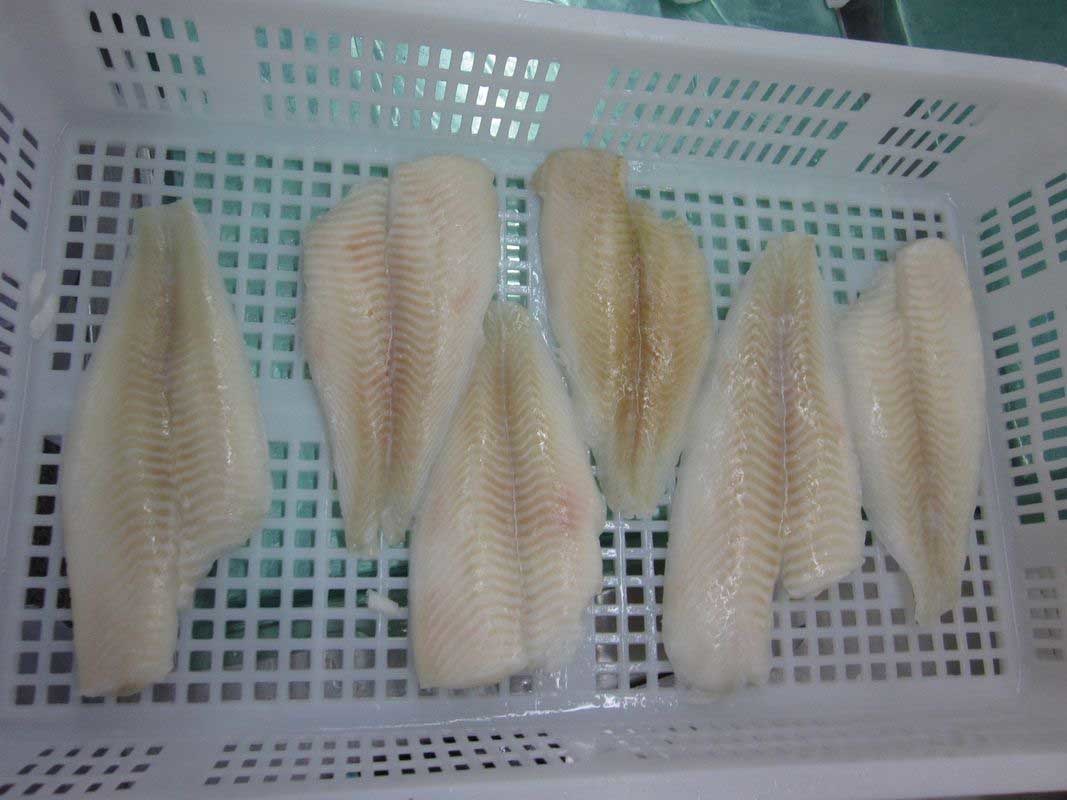 Yellow Fin Sole Fillets