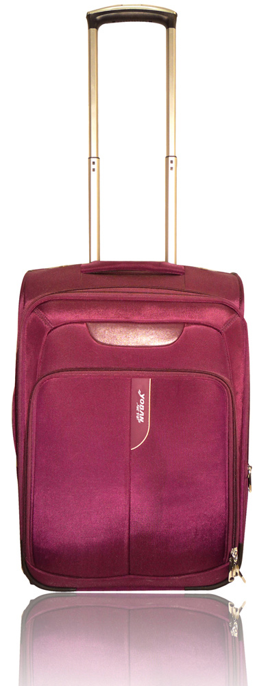 Luggage Case (Y-187)