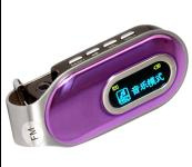 MP3 Player 1