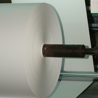 Roll Matte Paper