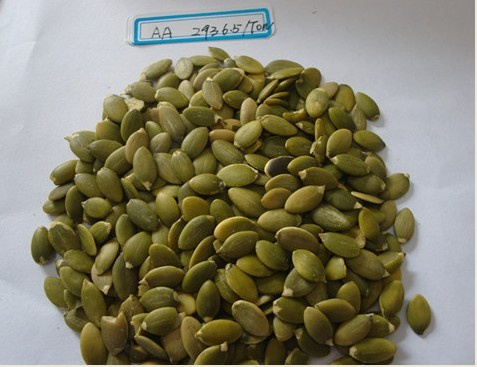 Pumpkin Kernel
