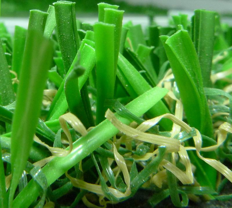 Artificial Turf