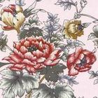 T/C Grey Fabric