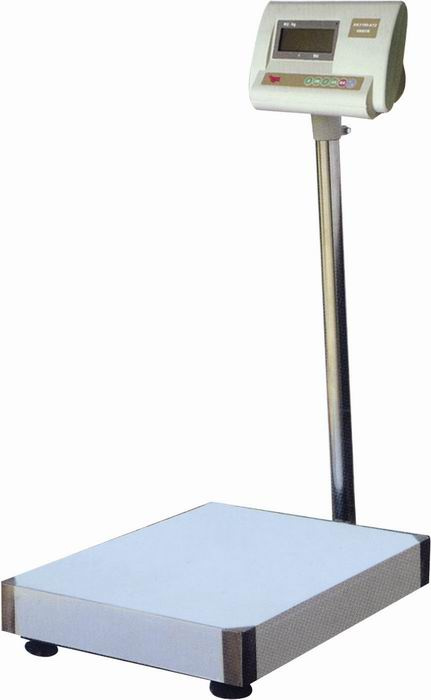 Digital Platform Scale(TCS-B)