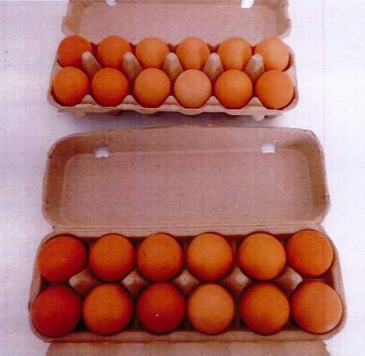 12 Holes Egg Tray