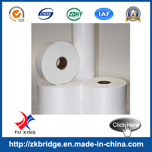 All Kinds of Synthetic Paper