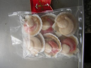 Scallop