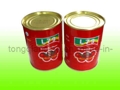 Tomato Paste-400g