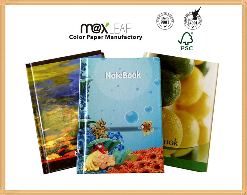 Customizable Hardcover Notebooks (HD)