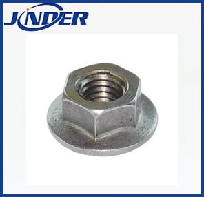 Flange Nut