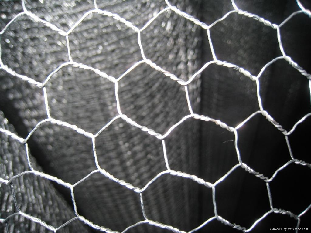 Galvanized Hexagonal Wire Mesh