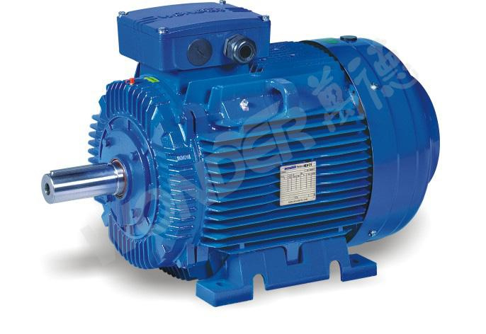 We Series (IE2) Three Phase High Efficiency Asynchronous Cast Iron Motors
