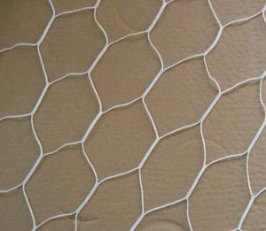 Soccer Net