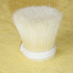 Boild Bristle