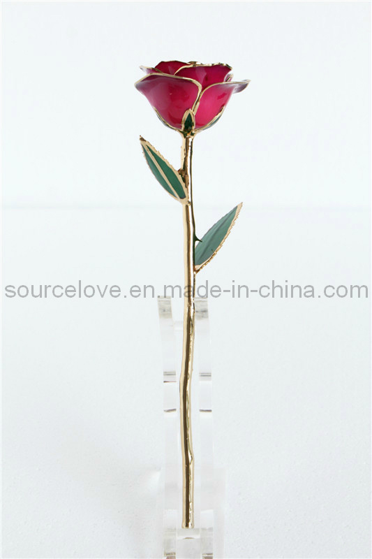 Gift-24k Gold Rose (MG032)