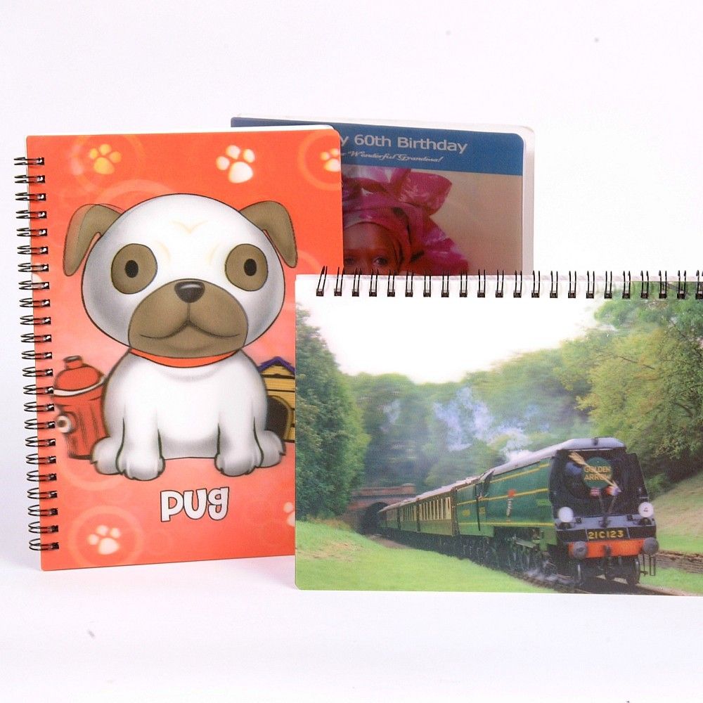 2015 Various Fanny Lenticular 3D Notebooks