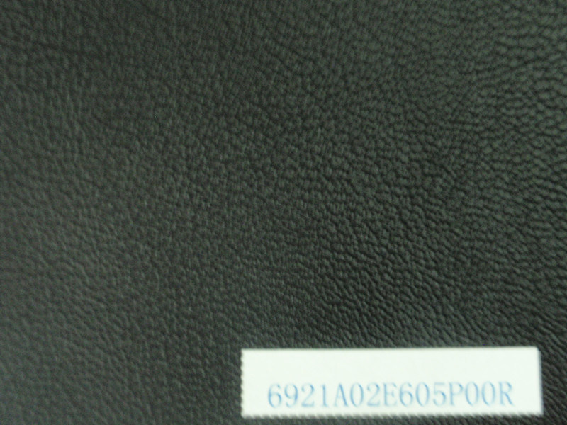Embossed Artificial Leather for Garments (6921A02E605P00R)