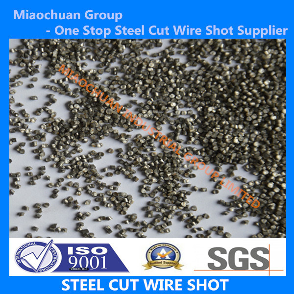High Quality Steel Cut Wire Shot Cw0.8-Cw3.5 with ISO9001 & SAE