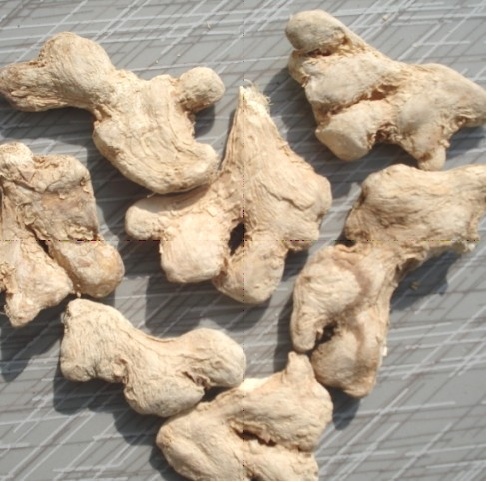 Stardard Quality Ginger Whole Air Dried