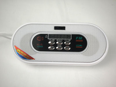 Multi Card Reader Speaker (DS-WS-938RC)