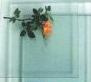 Float Glass