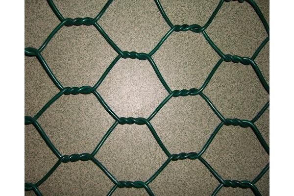Galvanized Hexagonal Wire Netting S0224