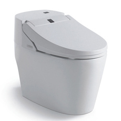 Sanitary Ware Ceramic Intelligent Toilet (YB0012)