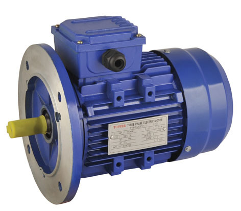 Ms Series Aluminum Housing Three Phase Induction / Electric Motor