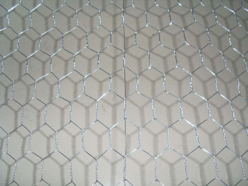 Hot Dipped Galvanized Hexagonal Wire Netting