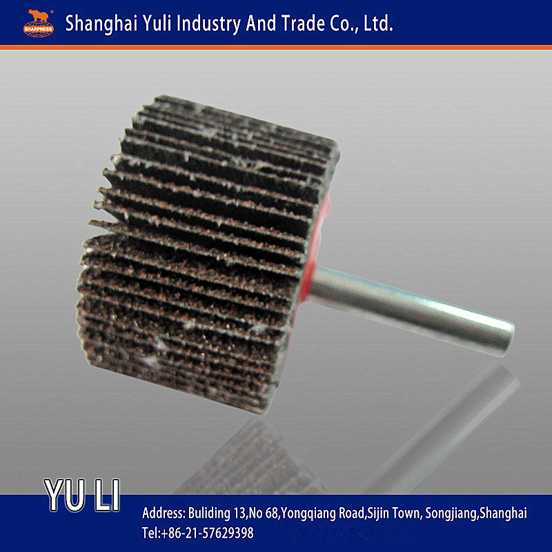 Abrasive Flap Wheels with Handle for Paint Removing